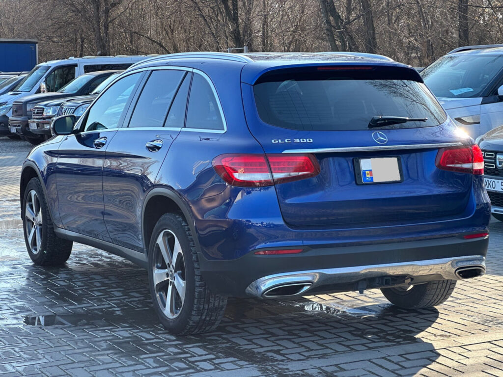 99a092c65696146a438f33c801262994